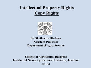 Intellectual Property Rights
Copy Rights
Dr. Shailendra Bhalawe
Assistant Professor
Department of Agro-forestry
College of Agriculture, Balaghat
Jawaharlal Nehru Agriculture University, Jabalpur
(M.P.)
 
