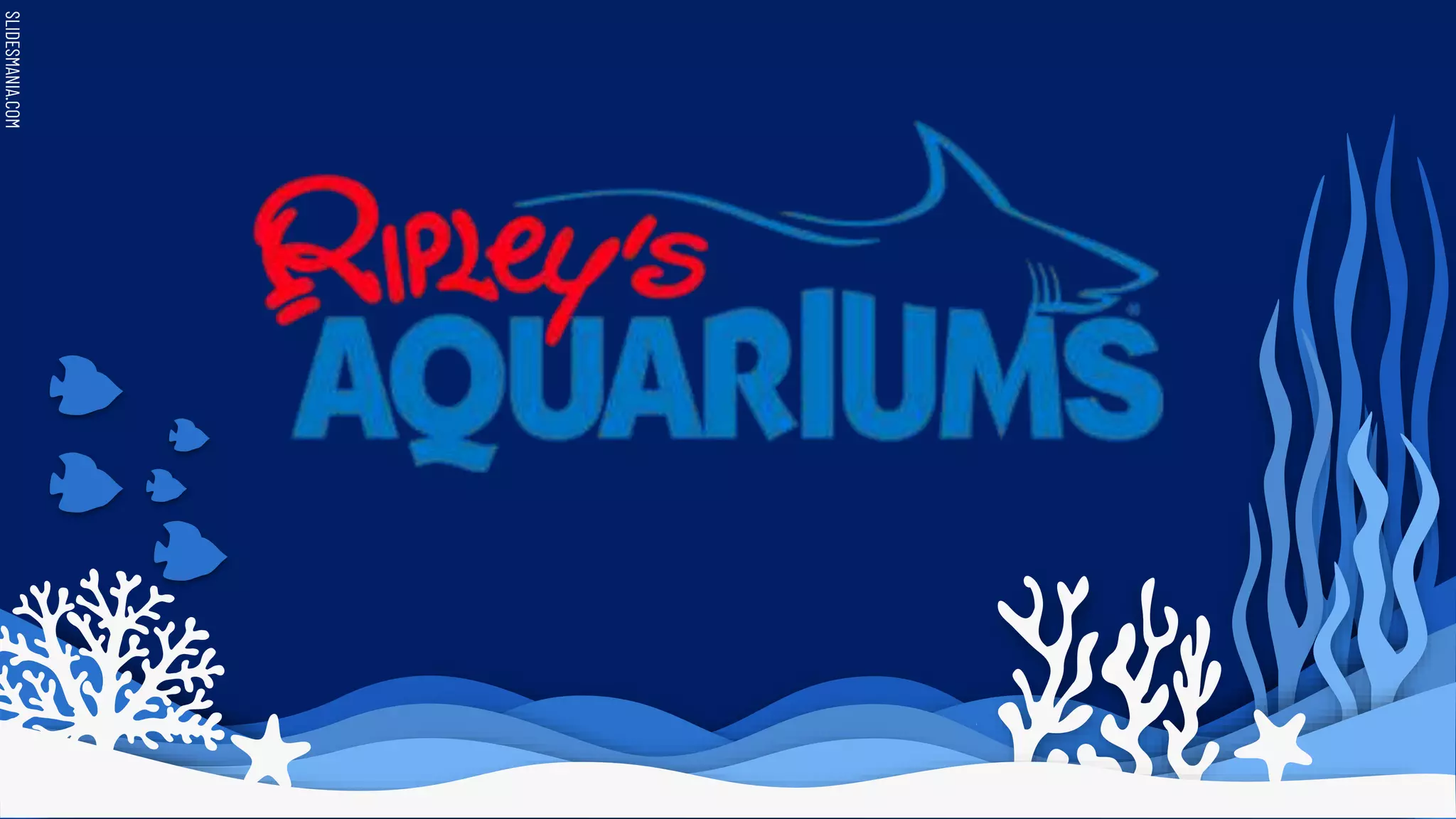 IMC Proposal - Ripley Aquarium | PPT