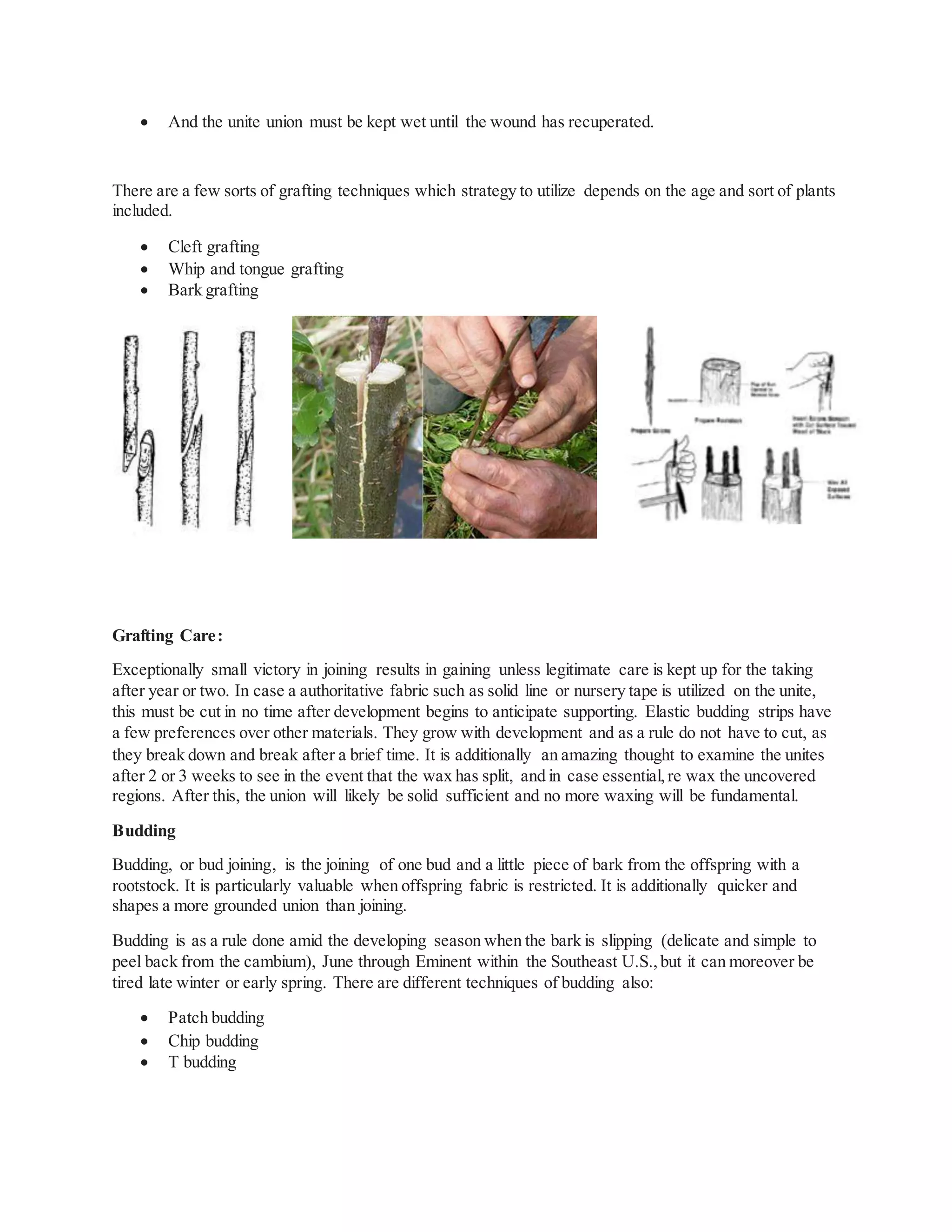  And the unite union must be kept wet until the wound has recuperated.
There are a few sorts of grafting techniques which strategy to utilize depends on the age and sort of plants
included.
 Cleft grafting
 Whip and tongue grafting
 Bark grafting
Grafting Care:
Exceptionally small victory in joining results in gaining unless legitimate care is kept up for the taking
after year or two. In case a authoritative fabric such as solid line or nursery tape is utilized on the unite,
this must be cut in no time after development begins to anticipate supporting. Elastic budding strips have
a few preferences over other materials. They grow with development and as a rule do not have to cut, as
they break down and break after a brief time. It is additionally an amazing thought to examine the unites
after 2 or 3 weeks to see in the event that the wax has split, and in case essential,re wax the uncovered
regions. After this, the union will likely be solid sufficient and no more waxing will be fundamental.
Budding
Budding, or bud joining, is the joining of one bud and a little piece of bark from the offspring with a
rootstock. It is particularly valuable when offspring fabric is restricted. It is additionally quicker and
shapes a more grounded union than joining.
Budding is as a rule done amid the developing season when the bark is slipping (delicate and simple to
peel back from the cambium), June through Eminent within the Southeast U.S.,but it can moreover be
tired late winter or early spring. There are different techniques of budding also:
 Patch budding
 Chip budding
 T budding
 