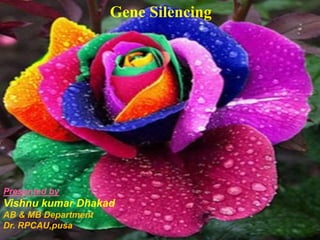 Gene Silencing
Presented by
Vishnu kumar Dhakad
AB & MB Department
Dr. RPCAU,pusa
 