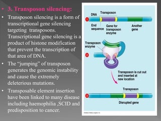  1. RNA interference (RNAi) is a natural process used by cells
to regulate gene expression.
 2. The process to silence g...