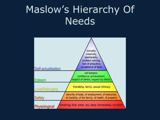 Maslow’s Hierarchy Of
Needs

 