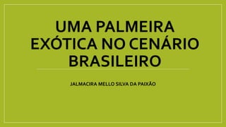 UMA PALMEIRA
EXÓTICA NO CENÁRIO
BRASILEIRO
JALMACIRA MELLO SILVA DA PAIXÃO
 