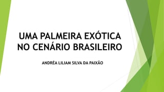 UMA PALMEIRA EXÓTICA
NO CENÁRIO BRASILEIRO
ANDRÉA LILIAM SILVA DA PAIXÃO
 