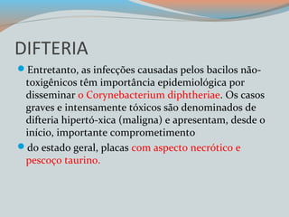 DIFTERIA 
Entretanto, as infecções causadas pelos bacilos não-toxigênicos 
têm importância epidemiológica por 
disseminar o Corynebacterium diphtheriae. Os casos 
graves e intensamente tóxicos são denominados de 
difteria hipertó-xica (maligna) e apresentam, desde o 
início, importante comprometimento 
do estado geral, placas com aspecto necrótico e 
pescoço taurino. 
 