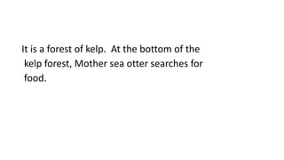 It is a forest of kelp. At the bottom of the
kelp forest, Mother sea otter searches for
food.
 