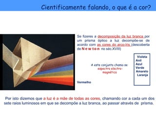 Cientificamente falando, o que é a cor?



                                       Se fizeres a decomposição da luz branca por
                                       um prisma óptico a luz decompõe-se de
                                       acordo com as cores do arco-íris (descoberta
                                       de N e w t o n no séc.XVIII)

                                                                           Violeta
                                                                          Anil
                                               A este conjunto chama-se   Azul
                                                   espectro electro-      Verde
                                                       magnético          Amarelo
                                                                           Laranja

                                       Vermelho




 Por isto dizemos que a luz é a mãe de todas as cores, chamando cor a cada um dos
sete raios luminosos em que se decompõe a luz branca, ao passar através de prisma.
 