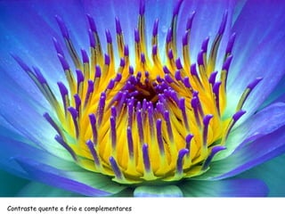 Contraste quente e frio e complementares
 