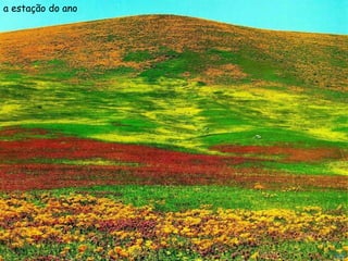 a estação do ano
 