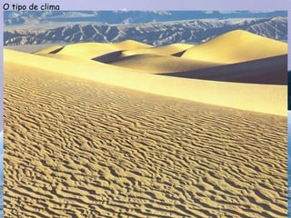 O tipo de clima
 
