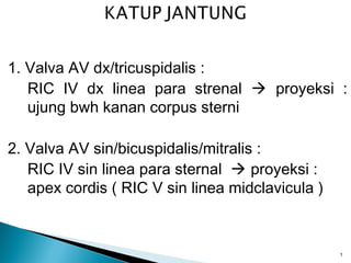 1. Valva AV dx/tricuspidalis :
RIC IV dx linea para strenal  proyeksi :
ujung bwh kanan corpus sterni
2. Valva AV sin/bicuspidalis/mitralis :
RIC IV sin linea para sternal  proyeksi :
apex cordis ( RIC V sin linea midclavicula )
1
 