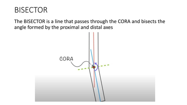 Cora | PPTX | Bone and Joint Conditions | Diseases and Conditions