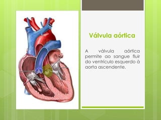 Válvula aórtica
A válvula aórtica
permite ao sangue fluir
do ventrículo esquerdo à
aorta ascendente.
 