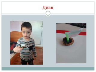 Диан
 