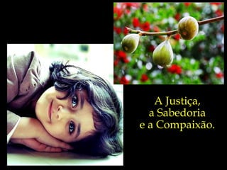 A Justiça, a Sabedoria e a Compaixão. 