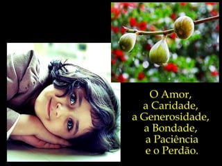 O Amor,  a Caridade,  a Generosidade,  a Bondade,  a Paciência e o Perdão. 