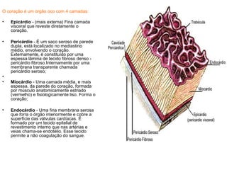 O coração é um órgão oco com 4 camadas:

•   Epicárdio - (mais externa) Fina camada
    visceral que reveste diretamente o
    coração.

•   Pericárdio - É um saco seroso de parede
    dupla, está localizado no mediastino
    médio, envolvendo o coração.
    Externamente, é constituído por uma
    espessa lâmina de tecido fibroso denso -
    pericárdio fibroso.Internamente por uma
    membrana transparente chamada
    pericárdio seroso;
•
•   Miocárdio - Uma camada média, e mais
    espessa, da parede do coração, formada
    por músculo anatomicamente estriado
    (vermelho) e fisiologicamente liso. Forma o
    coração;

•   Endocárdio - Uma fina membrana serosa
    que forra o órgão interiormente e cobre a
    superfície das válvulas cardíacas. É
    formado por um tecido epitelial de
    revestimento interno que nas artérias e
    veias chama-se endotélio. Esse tecido
    permite a não coagulação do sangue.
 