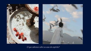 O que sabemos sobre as asas do espírito?
 
