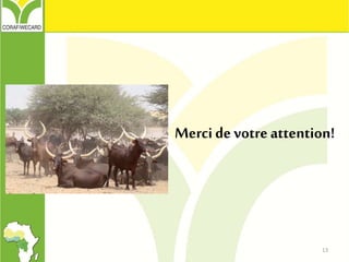Merci de votre attention!
13
 