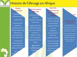 Histoire del’élevageen Afrique
Période
pré-coloniale
Hypothèse d'un
élevage florissant
auXIXesiècle
Soumissiondes
populations
paysannespar les
Peul de Sokoto et de
l'Adamaouaet
exterminationde
leur cheptel bovin
Lesétats peul
théocratiquesdu
FoutaDjalon, du
Macinaet de Sokoto
organisentet
codifientl'utilisation
pastorale de l'espace
Période coloniale
1880-1950
Prioritéà l’assistance
vétérinaire,
notammentcontre la
peste bovine
Augmentationdes
effectifs du cheptel
bovin:de7 millions
en 1945à17
millionsen 1950
dansles colonies
françaisesd’AO etau
Nigéria
Recoursàla
mobilitépourla
recherchede
nouveaux
pâturages
1950-1970:
diversificationdes
interventions en
élevage
Création en 1950du
«Servicedel'Elevage
etdesIndustries
animalesdel’AOF»,
avecune
compétence
couvrant toutela
filière de la
productionbovine
Absence d’exemple
concretd'élevage
moderne etfidélité
des pasteurs aux
méthodesd'élevage
traditionnelles
Années 1970: crise
du pastoralisme
Dès 1967:
déséquilibre entre le
cheptel qui s'accroît
tandisque les
ressources
fourragèresse
réduisent
Echec du ranching,
solutionpréconisée
pour mieux exploiter
les pâturages et
instaurerunélevage
moderne
Années1970 : crisedu
pastoralisme
Dès1967: déséquilibre
entrelecheptelqui s'accroît
tandisqueles ressources
fourragèresseréduisent
Echec duranching,solution
préconiséepourmieux
exploiterlespâturages
naturelsetinstaurerun
élevagemoderne
 