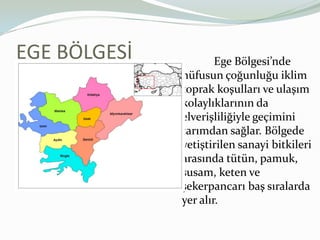 EGE BÖLGESİ	Ege Bölgesi’nde nüfusun çoğunluğu iklim toprak koşulları ve ulaşım kolaylıklarının da elverişliliğiyle geçimini tarımdan sağlar. Bölgede yetiştirilen sanayi bitkileri arasında tütün, pamuk, susam, keten ve şekerpancarı baş sıralarda yer alır. 