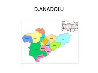 D.ANADOLU