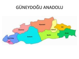 GÜNEYDOĞU ANADOLU
