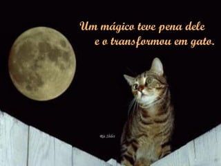 Um mágico teve pena dele  e o transformou em gato. 