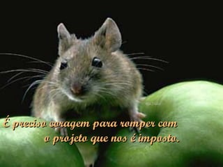 É preciso coragem para romper com  o projeto que nos é imposto. 