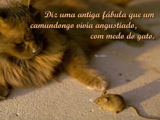 Diz uma antiga fábula que um camundongo vivia angustiado,  com medo do gato. 