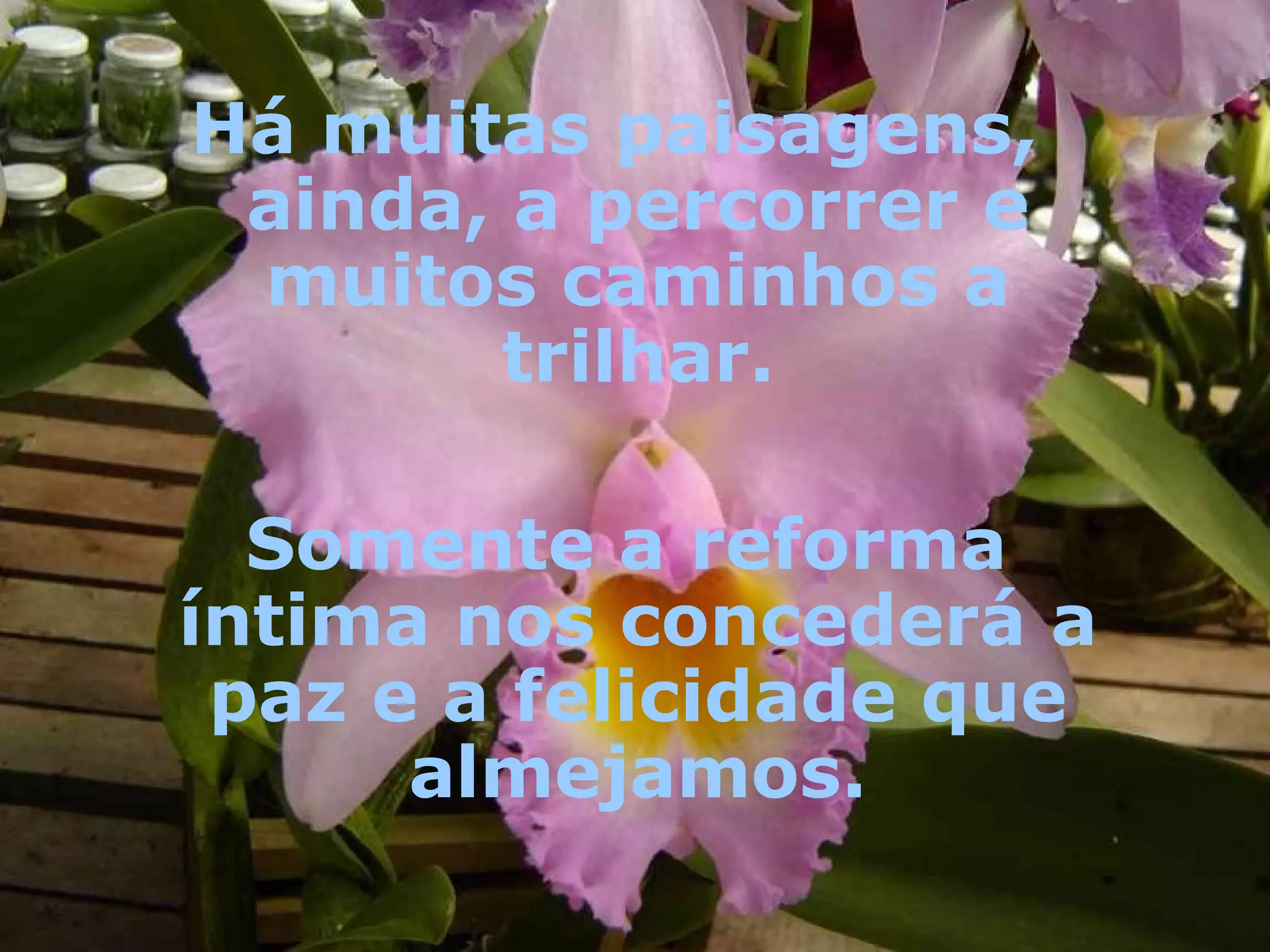 Há muitas paisagens, ainda, a percorrer e muitos caminhos a trilhar.   Somente a reforma íntima nos concederá a paz e a felicidade que almejamos.   