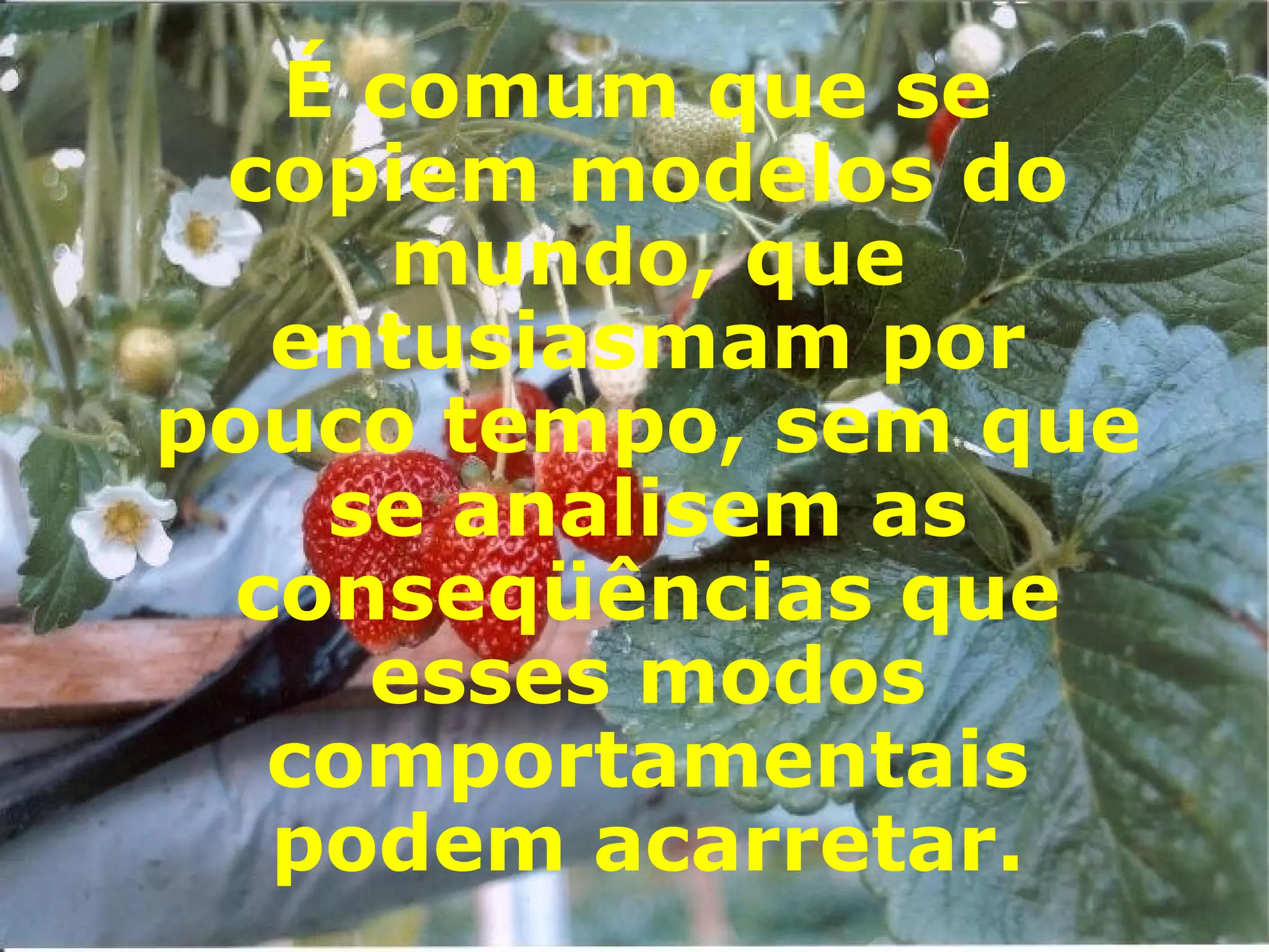 É comum que se copiem modelos do mundo, que entusiasmam por pouco tempo, sem que se analisem as conseqüências que esses modos comportamentais podem acarretar. 