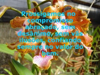 Prossigamos no compromisso abraçado, sem desânimo, sem vãs ilusões, confiando sempre no valor do bem. 