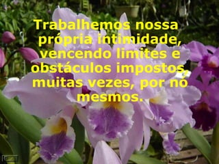 Trabalhemos nossa própria intimidade, vencendo limites e obstáculos impostos, muitas vezes, por nó mesmos.   