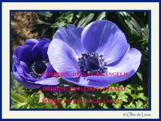 ESPÍRITO:  JOANNA DE ÂNGELIS MÉDIUM:  DIVALDO P. FRANCO FONTE: LIVRO  “VIGILÂNCIA” 