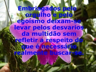 Embriagados pelo orgulho e pelo egoísmo deixam-se levar pelos desvarios da multidão sem refletir a respeito do que é necessário realmente buscar-se. 