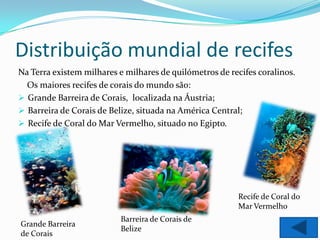 Distribuição mundial de recifes
Na Terra existem milhares e milhares de quilómetros de recifes coralinos.
  Os maiores recifes de corais do mundo são:
 Grande Barreira de Corais, localizada na Áustria;
 Barreira de Corais de Belize, situada na América Central;
 Recife de Coral do Mar Vermelho, situado no Egipto.




                                                         Recife de Coral do
                                                         Mar Vermelho
                           Barreira de Corais de
Grande Barreira
                           Belize
de Corais
 