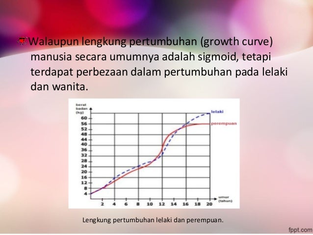 Corak pertumbuhan manusia