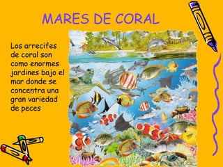 MARES DE CORAL ,[object Object]