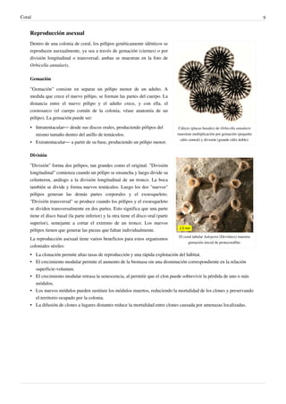 Coral 9
Reproducción asexual
Cálices (placas basales) de Orbicella annularis
muestran multiplicación por gemación (pequeño
cáliz central) y división (grande cáliz doble).
El coral tabular Aulopora (Devónico) muestra
gemación inicial de protocorallite.
Dentro de una colonia de coral, los pólipos genéticamente idénticos se
reproducen asexualmente, ya sea a través de gemación (ciernes) o por
división longitudinal o transversal; ambas se muestran en la foto de
Orbicella annularis.
Gemación
"Gemación" consiste en separar un pólipo menor de un adulto. A
medida que crece el nuevo pólipo, se forman las partes del cuerpo. La
distancia entre el nuevo pólipo y el adulto crece, y con ella, el
coenosarco (el cuerpo común de la colonia; véase anatomía de un
pólipo). La gemación puede ser:
• Intratentacular— desde sus discos orales, produciendo pólipos del
mismo tamaño dentro del anillo de tentáculos.
• Extratentacular— a partir de su base, produciendo un pólipo menor.
División
"División" forma dos pólipos, tan grandes como el original. "División
longitudinal" comienza cuando un pólipo se ensancha y luego divide su
celenteron, análogo a la división longitudinal de un tronco. La boca
también se divide y forma nuevos tentáculos. Luego los dos "nuevos"
pólipos generan las demás partes corporales y el exoesqueleto.
"División transversal" se produce cuando los pólipos y el exoesqueleto
se dividen transversalmente en dos partes. Esto significa que una parte
tiene el disco basal (la parte inferior) y la otra tiene el disco oral (parte
superior), semejante a cortar el extremo de un tronco. Los nuevos
pólipos tienen que generar las piezas que faltan individualmente.
La reproducción asexual tiene varios beneficios para estos organismos
coloniales sésiles:
•• La clonación permite altas tasas de reproducción y una rápida explotación del hábitat.
•• El crecimiento modular permite el aumento de la biomasa sin una disminución correspondiente en la relación
superficie-volumen.
•• El crecimiento modular retrasa la senescencia, al permitir que el clon puede sobrevivir la pérdida de uno o más
módulos.
•• Los nuevos módulos pueden sustituir los módulos muertos, reduciendo la mortalidad de los clones y preservando
el territorio ocupado por la colonia.
•• La difusión de clones a lugares distantes reduce la mortalidad entre clones causada por amenazas localizadas.
 