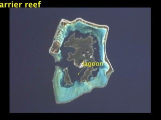 arrier reef
lagoon
 