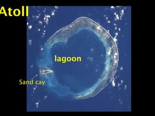 Atoll
lagoon
Sand cay
 