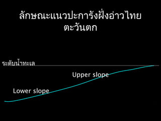 ลักษณะแนวปะการังฝั่งอ่าวไทย
ตะวันตก
Upper slope
Lower slope
ระดับนำ้าทะเล
 