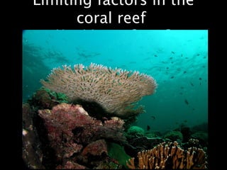 Limiting factors in the
coral reef
Nutrition or Space?
 