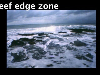 eef edge zone
 