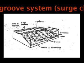 groove system (surge ch
 