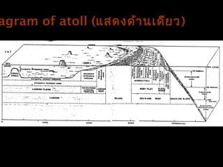 agram of atoll (แสึϸึϹาน๶ึϸยว)
 