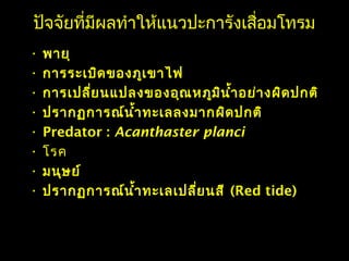 ปัจจัยที่มีผลทำาให้แนวปะการังเสื่อมโทรม
• พายุ
• การระเบิดของภูเขาไฟ
• การเปลี่ยนแปลงของอุณหภูมินำ้าอย่างผิดปกติ
• ปรากฏการณ์นำ้าทะเลลงมากผิดปกติ
• Predator : Acanthaster planci
• โรค
• มนุษย์
• ปรากฏการณ์นำ้าทะเลเปลี่ยนสี (Red tide)
 