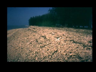 Coral lec02
