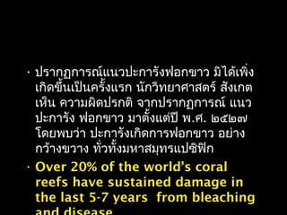 • ปรากฏการณ์แนวปะการังฟอกขาว มิได้เพิ่ง
เกิดขึ้นเป็นครั้งแรก นักวิทยาศาสตร์ สังเกต
เห็น ความผิดปรกติ จากปรากฏการณ์ แนว
ปะการัง ฟอกขาว มาตั้งแต่ปี พ.ศ. ๒๕๒๗
โดยพบว่า ปะการังเกิดการฟอกขาว อย่าง
กว้างขวาง ทั่วทั้งมหาสมุทรแปซิฟิก
• Over 20% of the world’s coral
reefs have sustained damage in
the last 5-7 years from bleaching
 